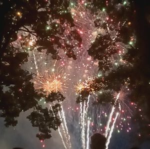 Meet your Posher, Ariel